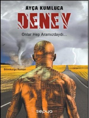 cover image of DENEY